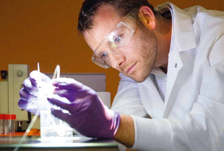 Professor Kevin McPeak in the lab, photo courtesy of BASF