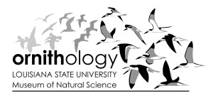 photo: ornithology bird logo