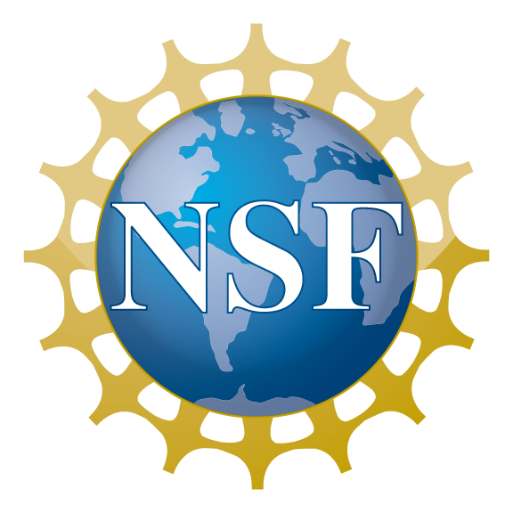 photo: nsf logo