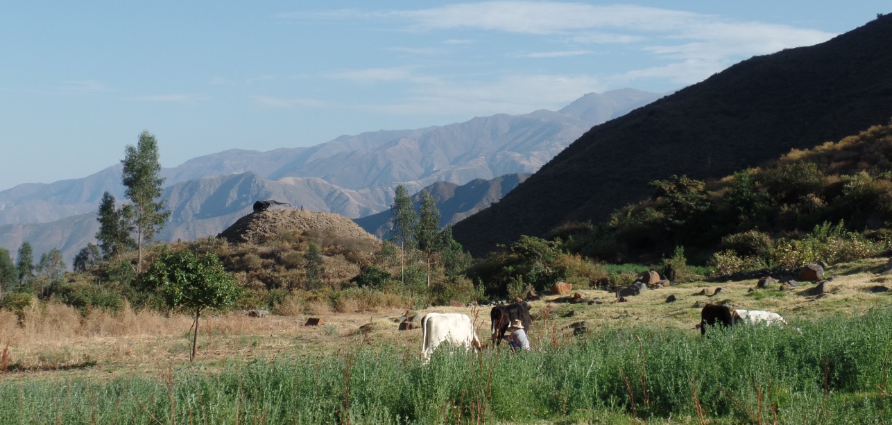 The highlands of Peru, where Anthropology student Kimberly Munro lead excavations. 