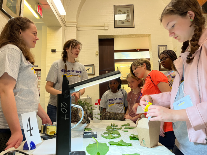 School girls listening about the physiology of resurrection ferns.