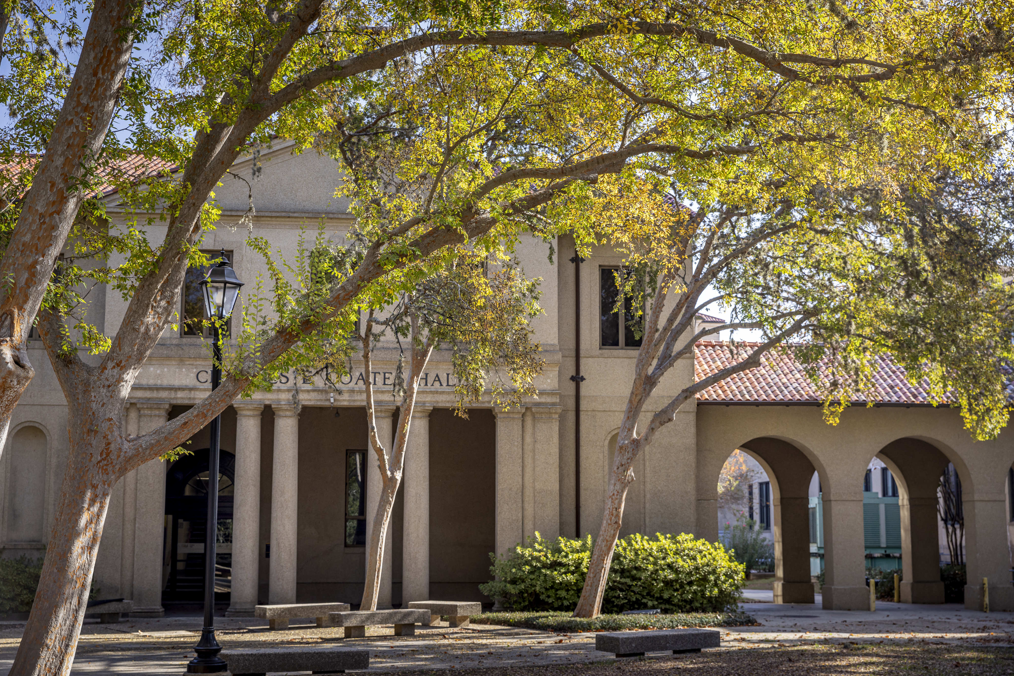 Fall leaves in Quad