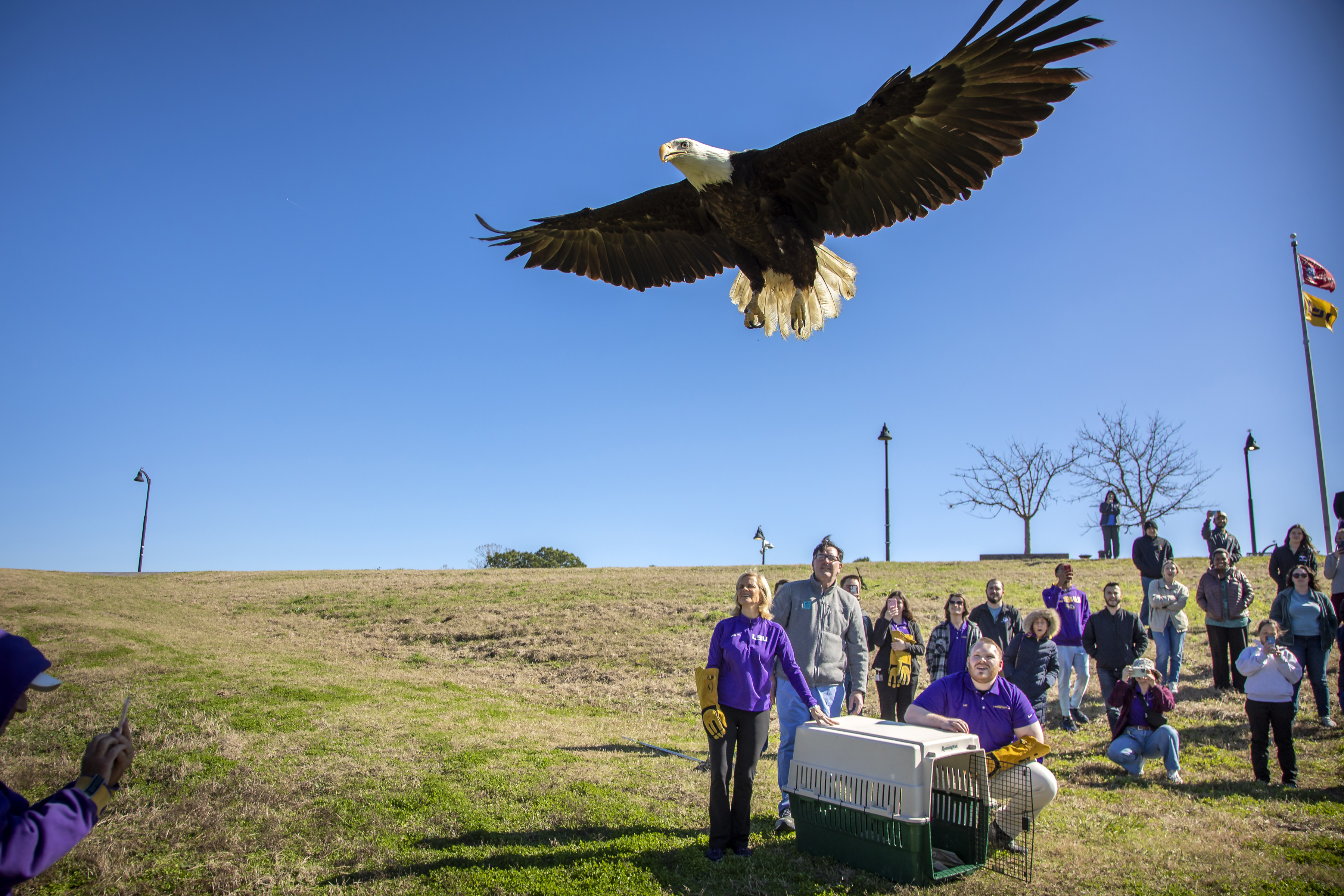 Kim Mulkey eagle release