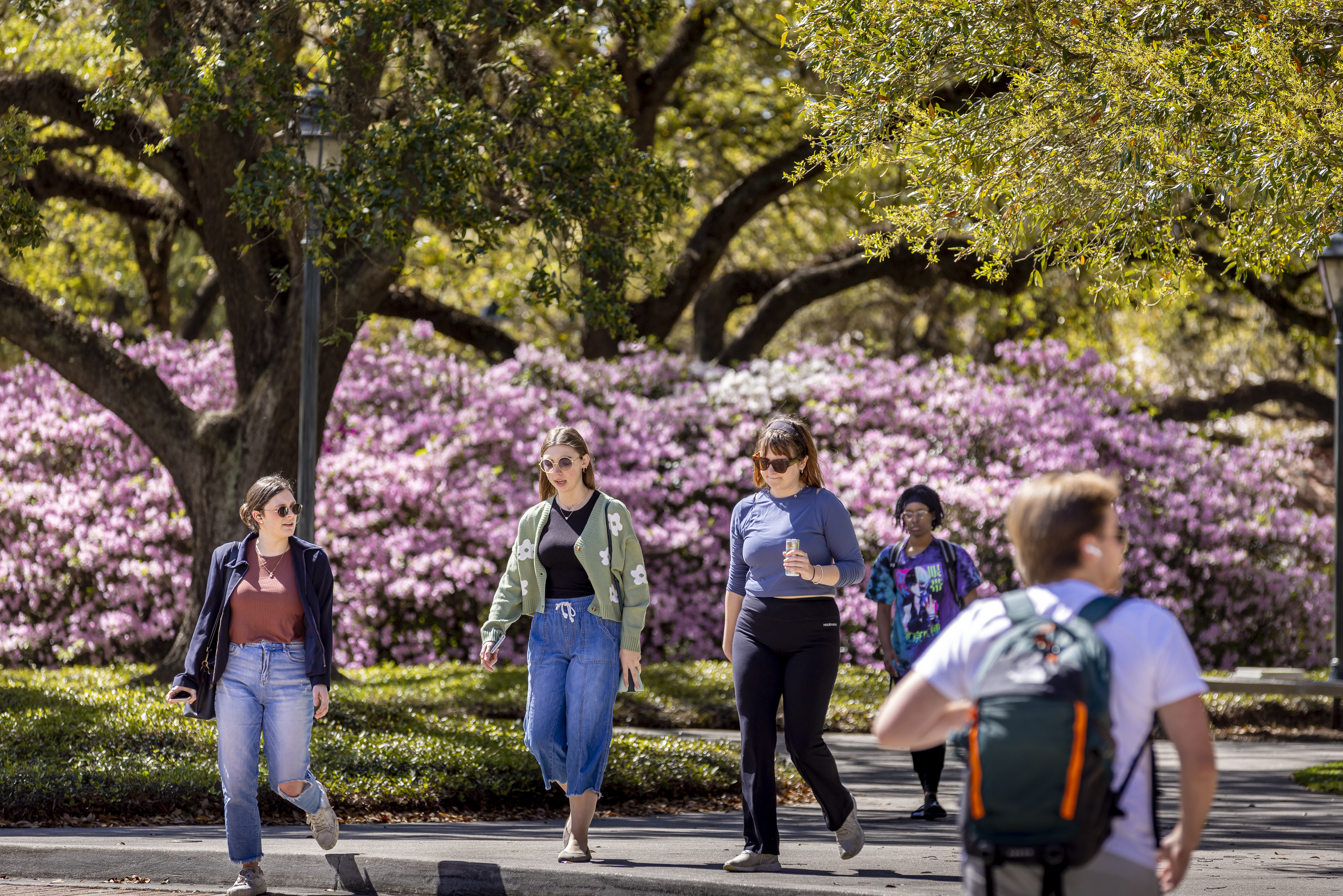 Springtime on campus