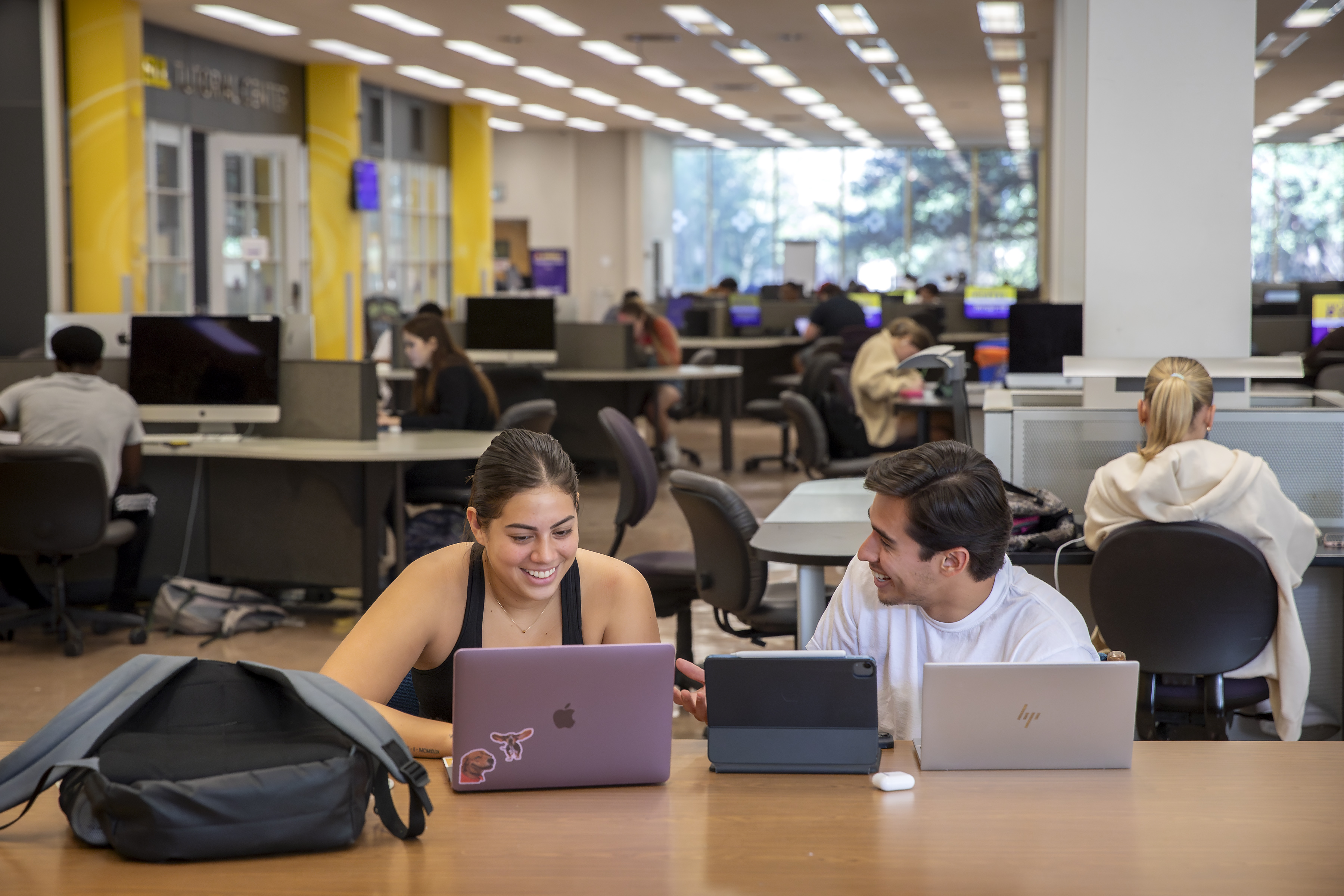 Students studying at the library