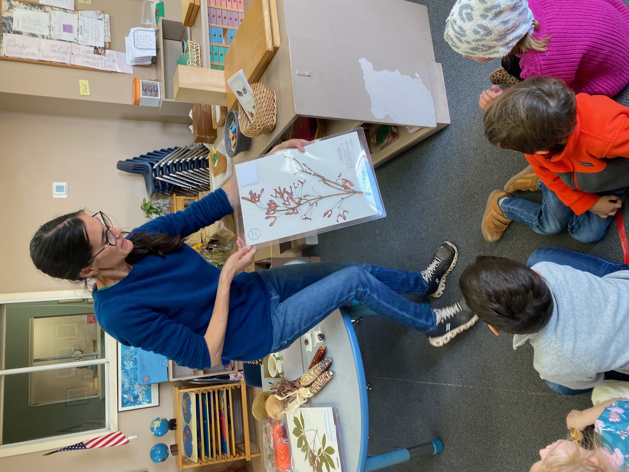 Christina showing the class herbarium specimens