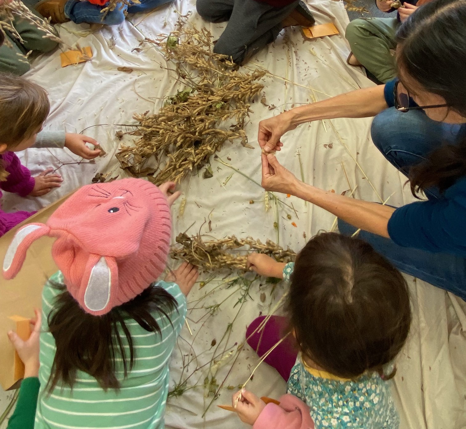 Children exploring seeds from dried plants