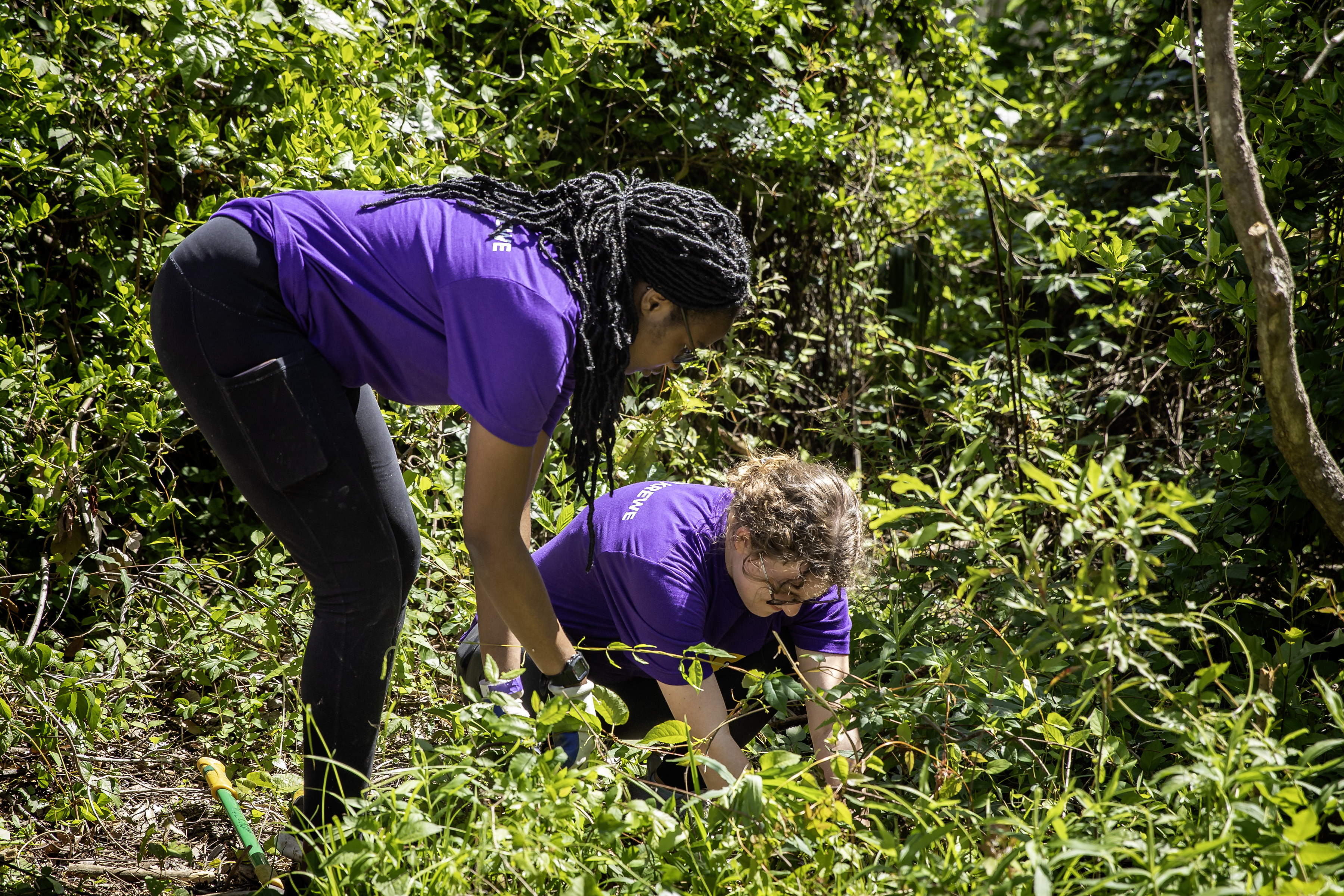 Students take part in LSU's annual Geaux Big Baton Rouge day of service on April 13, 2024.