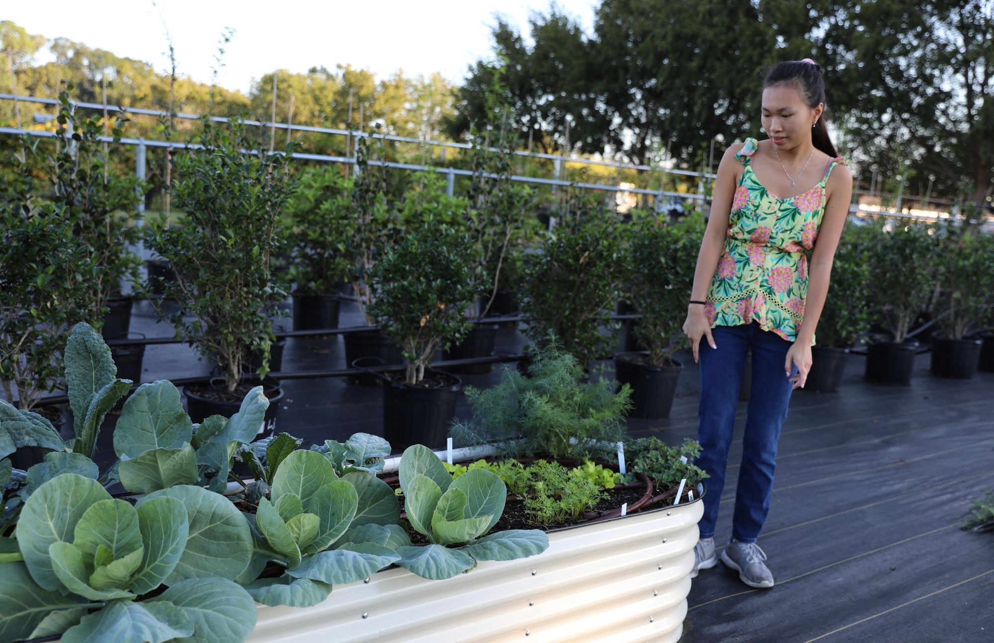 Kim looks at her raised bed with vegetables