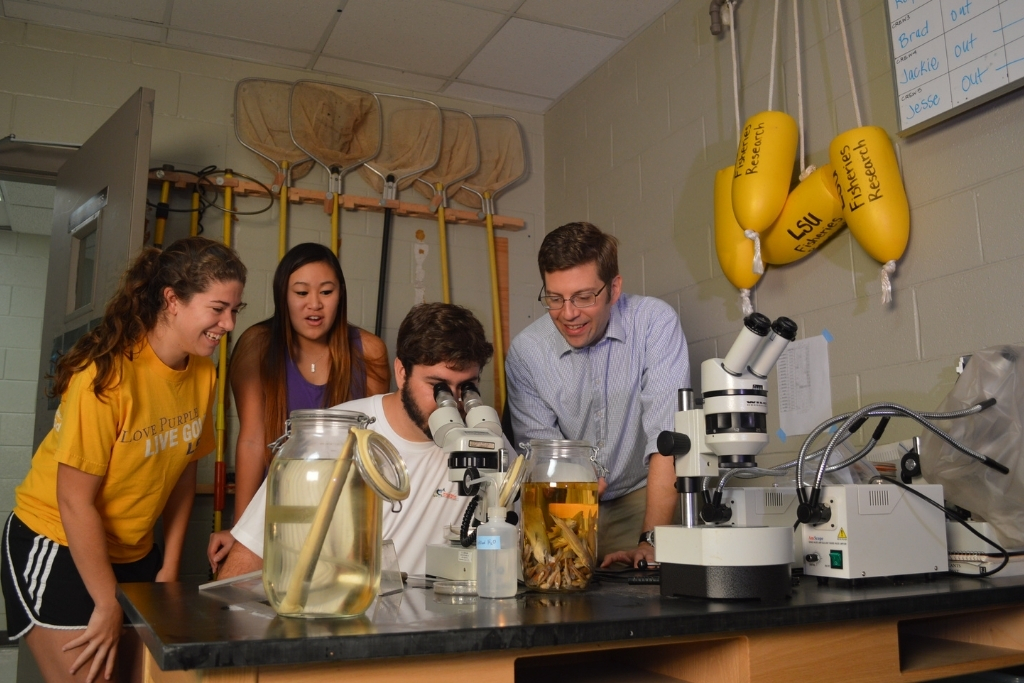 Students look in microscope in lab