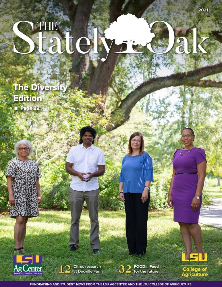 Cover of Stately Oak Magazine