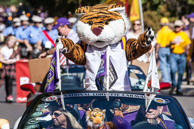 Mike the Tiger mascot rides in car in Homecoming Parade