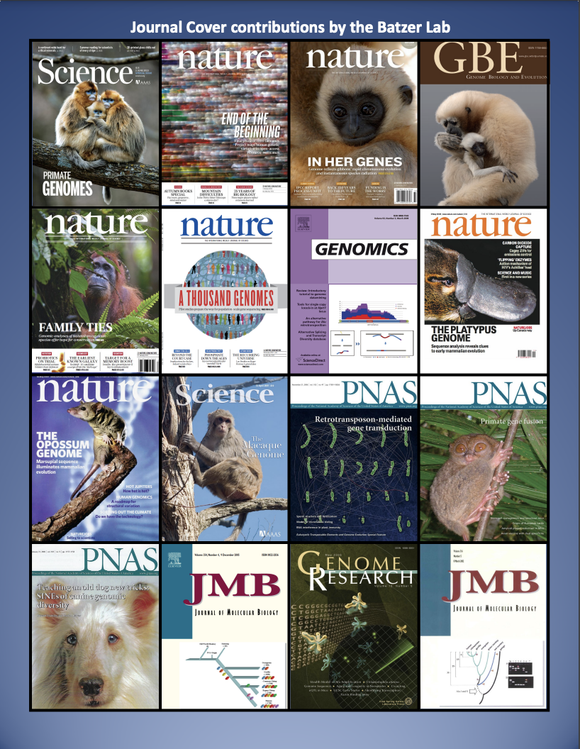 Collage of research journal covers featuring Batzer Lab research
