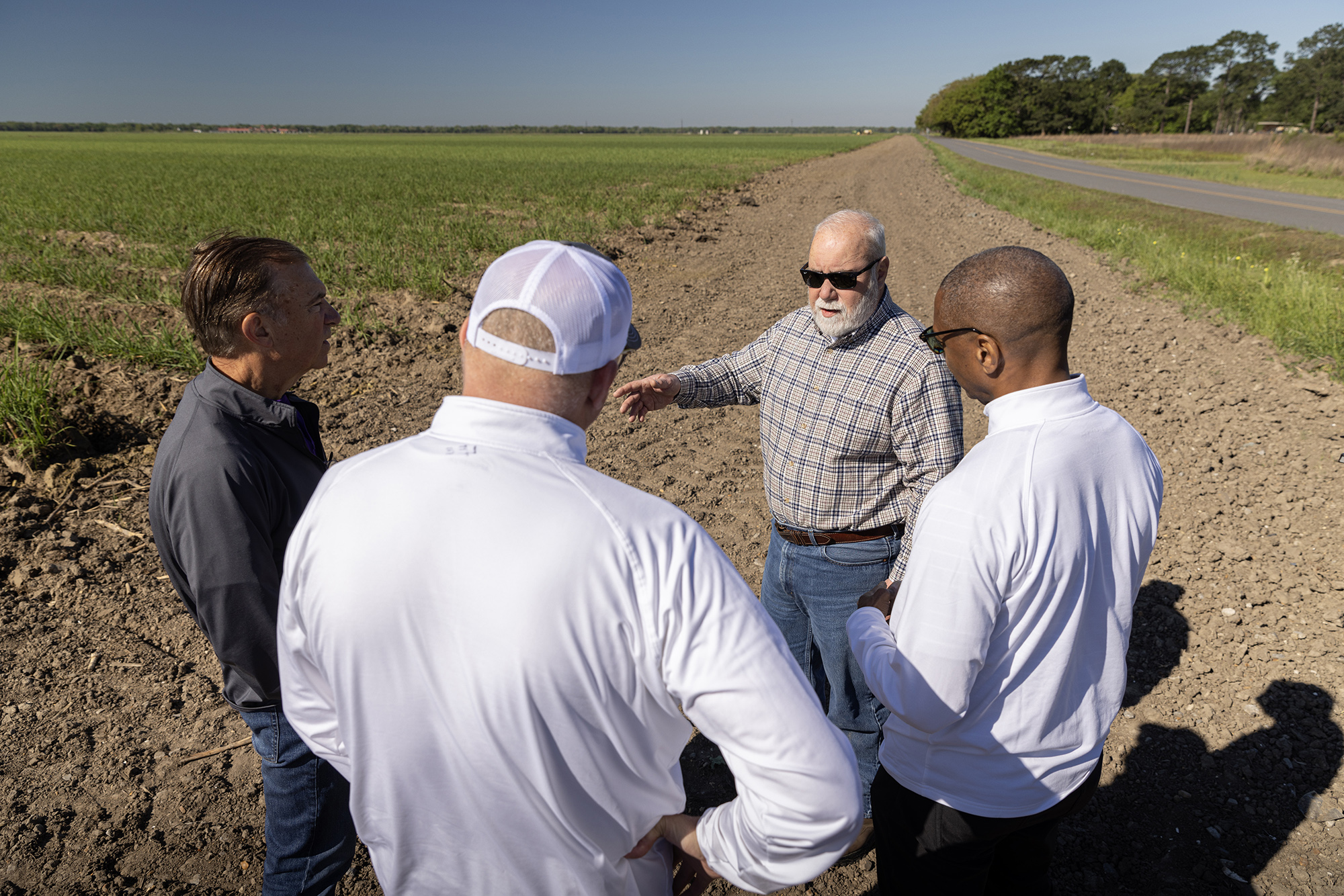 President Tate and three other men stand at the edge of a sugar cane field
