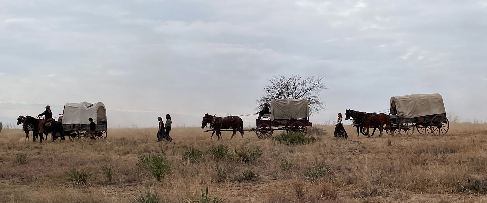 wagon train scene from Yellowstone