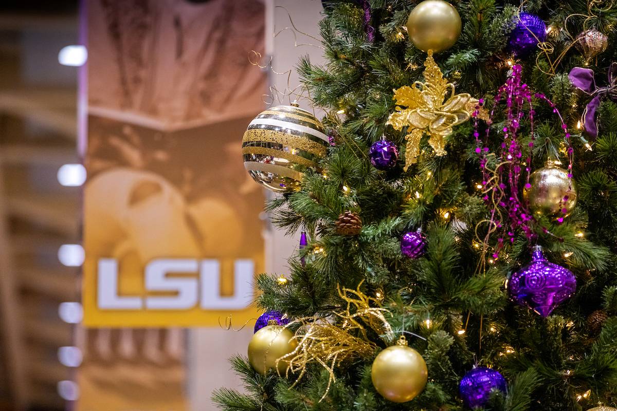 Holiday tree on campus