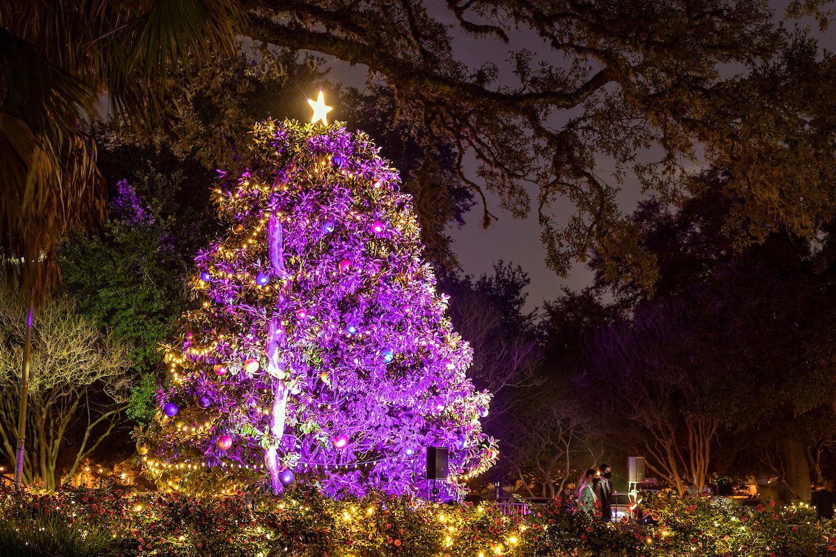 Purple holiday tree on the LSU campus