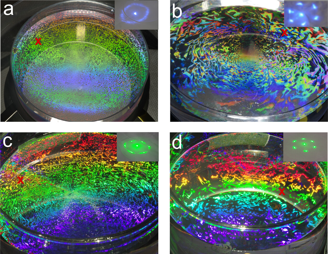 Images of self-assembly of PS spheres without capillary waves and with capillary wave-assisted assembly