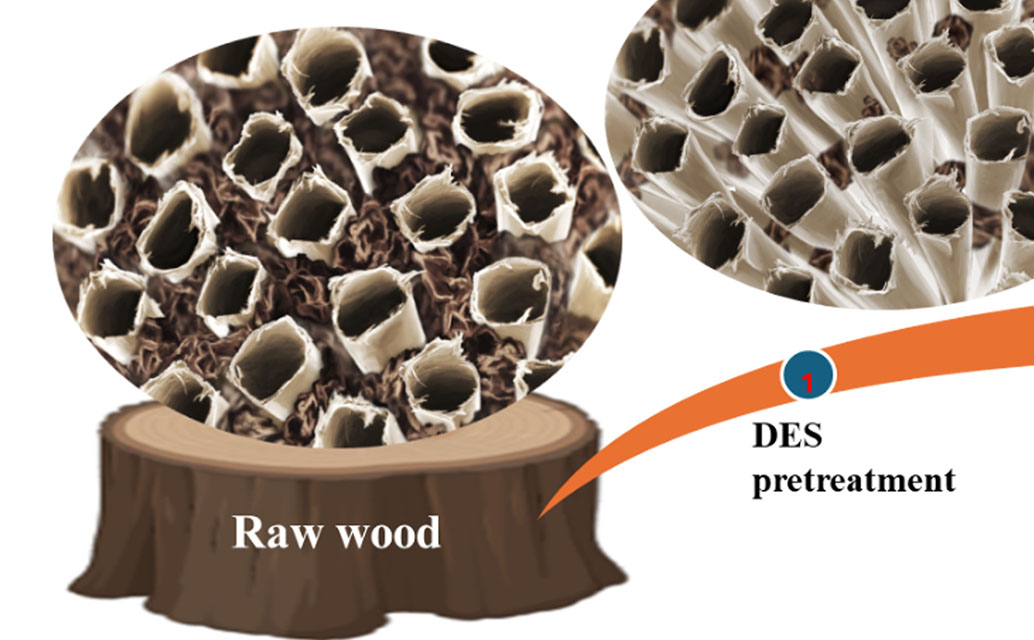 Portion of graphic showing steps to modify wood