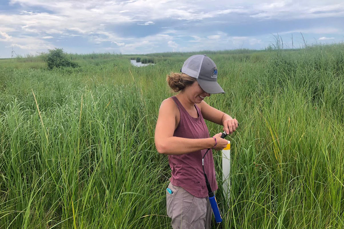  Lipford sets up a water logger, used to study hydrology at marsh sites.