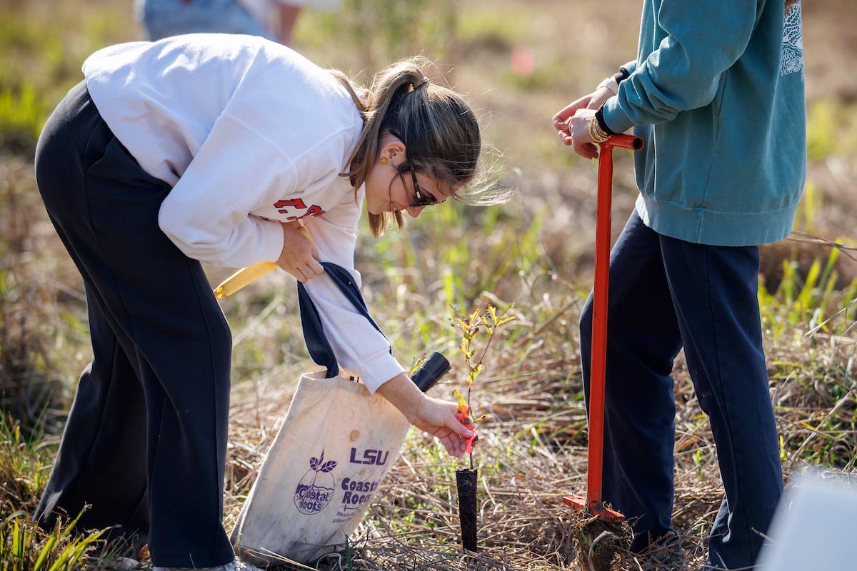 Students plant grasses through Coastal Roots