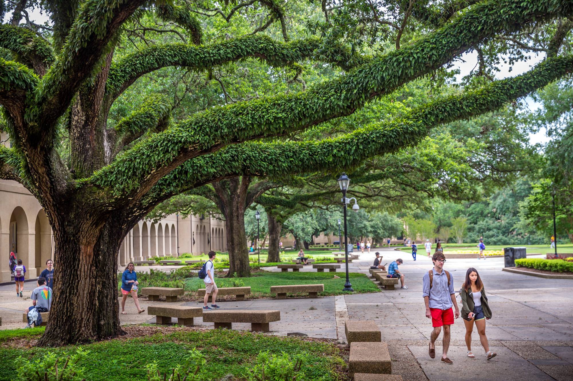 Students walking in the Quad