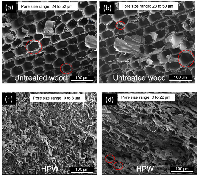 LSU process makes wood denser and eight times stronger
