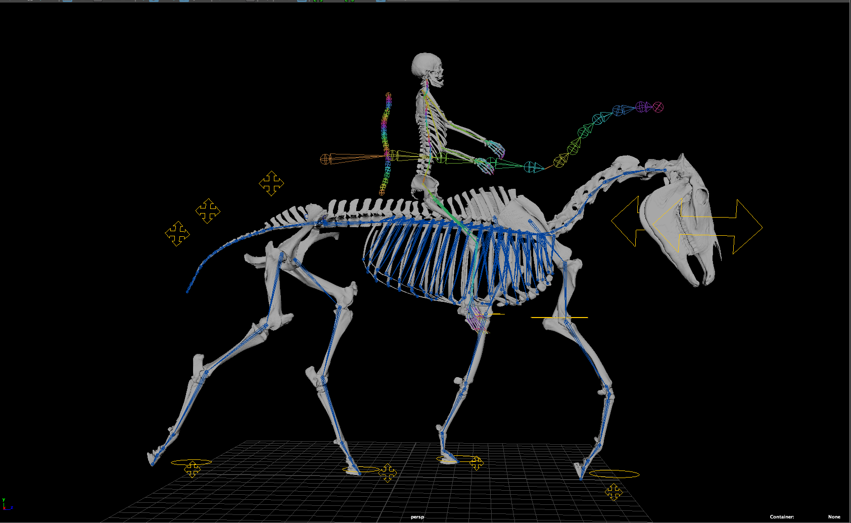 3D skeletal image of horse and rider