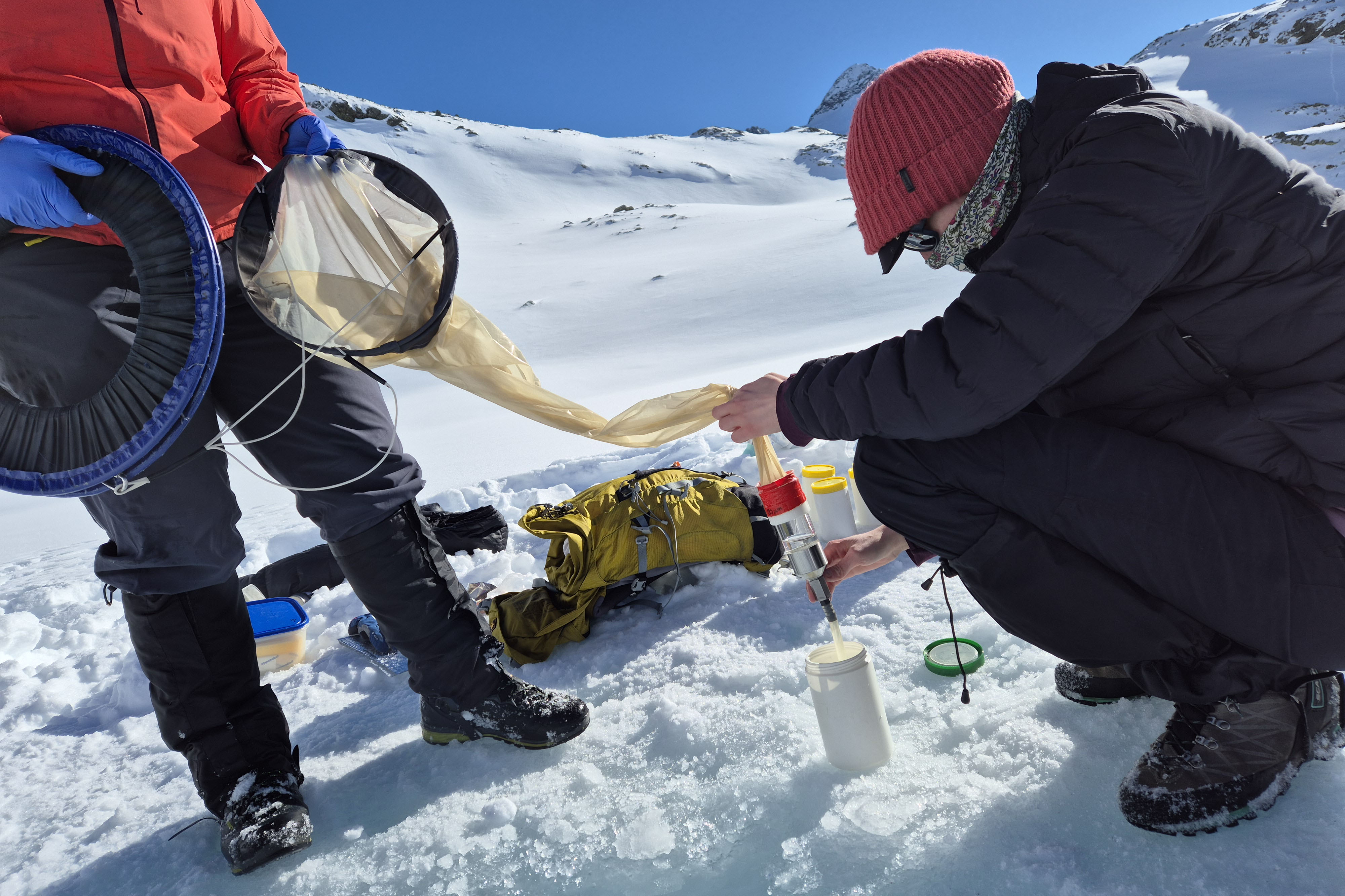 Researchers study copepods in an alpine lake in the Austrian Central Alps