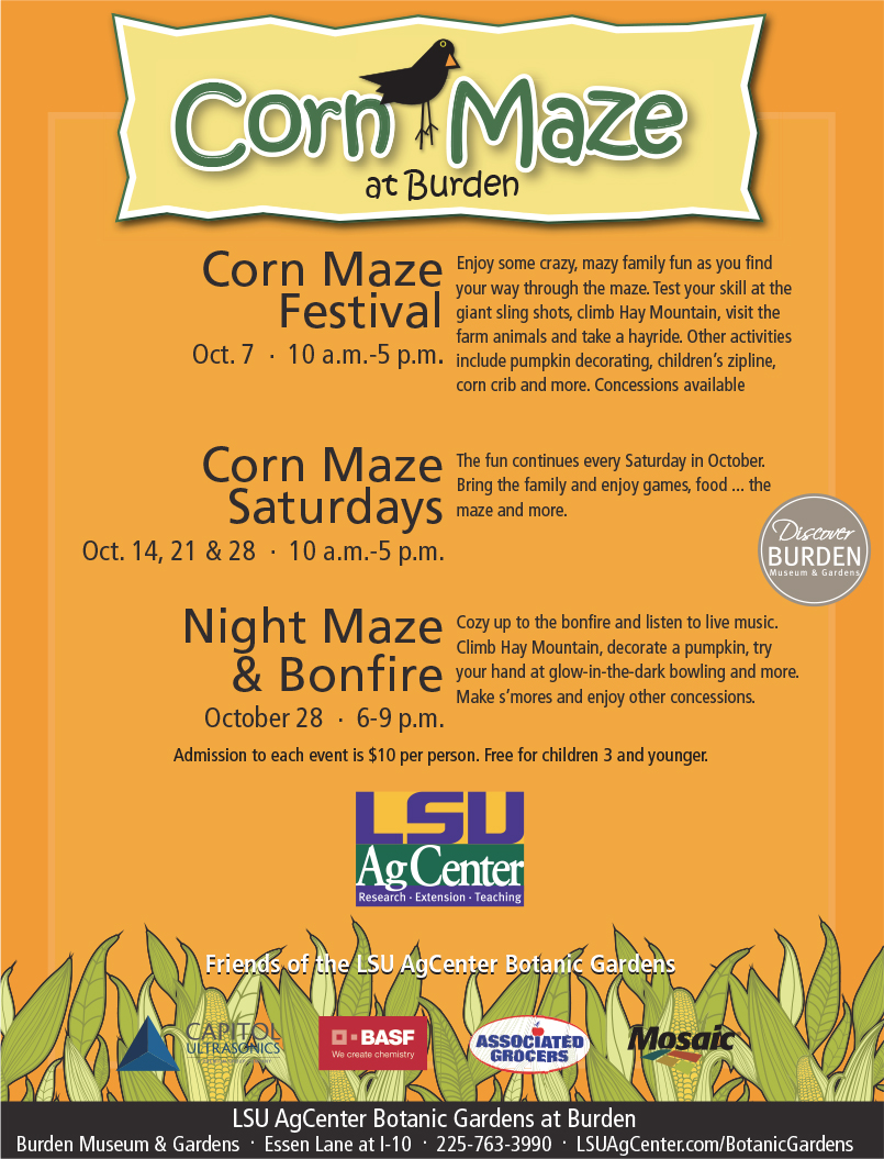 Corn Maze Flyer