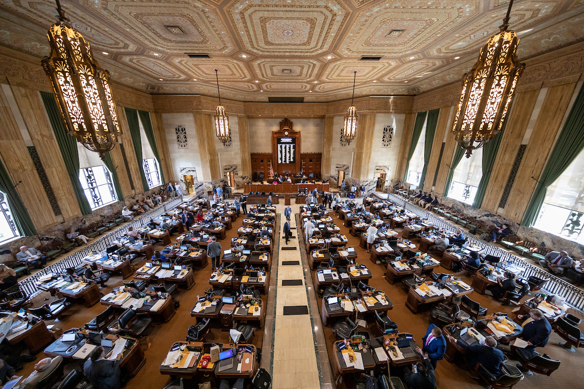 louisiana legislature interior