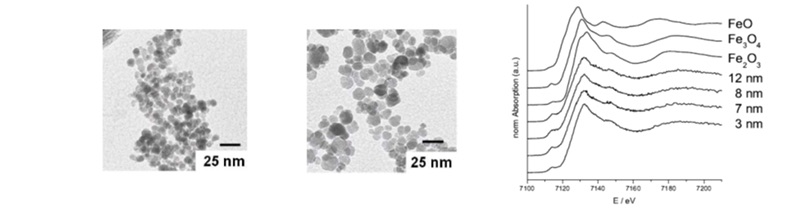 TEM of Spion antiparticles size 8.5 nm; Figure 3b: TEM of Spion antiparticles size 12 nm; Figure 3c: Fe K-edge XANES spectra of the spion (in different sizes) treated cells and the iron oxide reference spectra (for Fe2+, Fe3+ and the mixture)