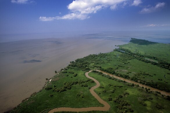 Louisiana coastline