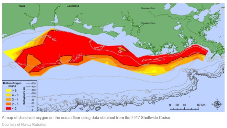 Gulf of Mexico hypoxic zone