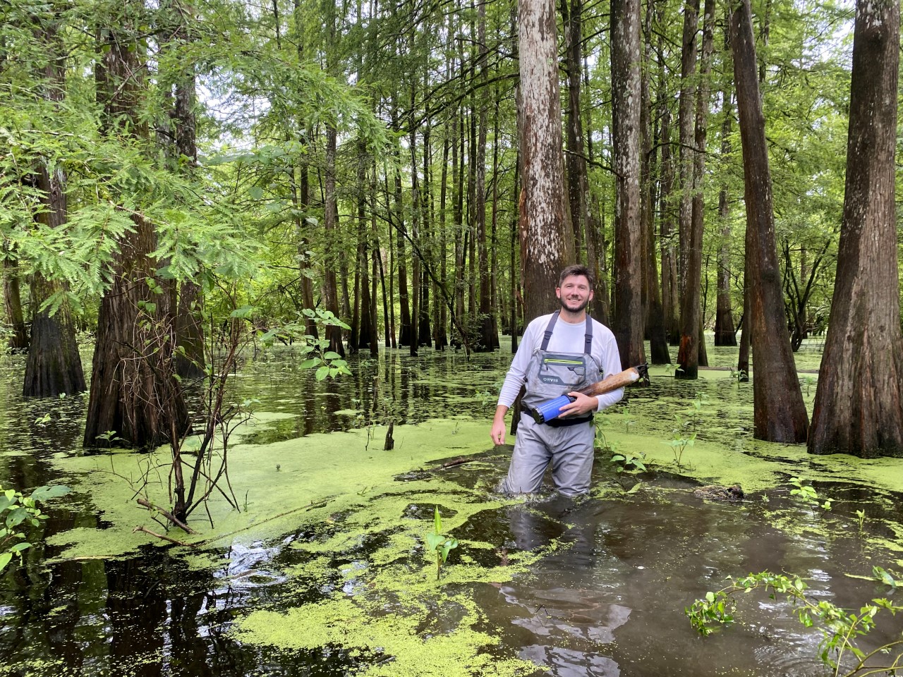 a man in waders stands in thigh-high marsh water