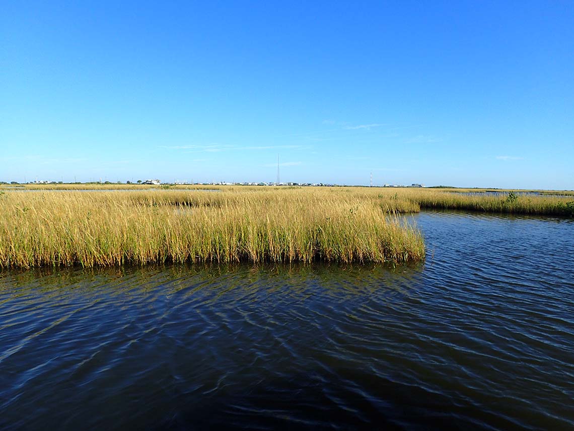 sun sets on a coastal marsh