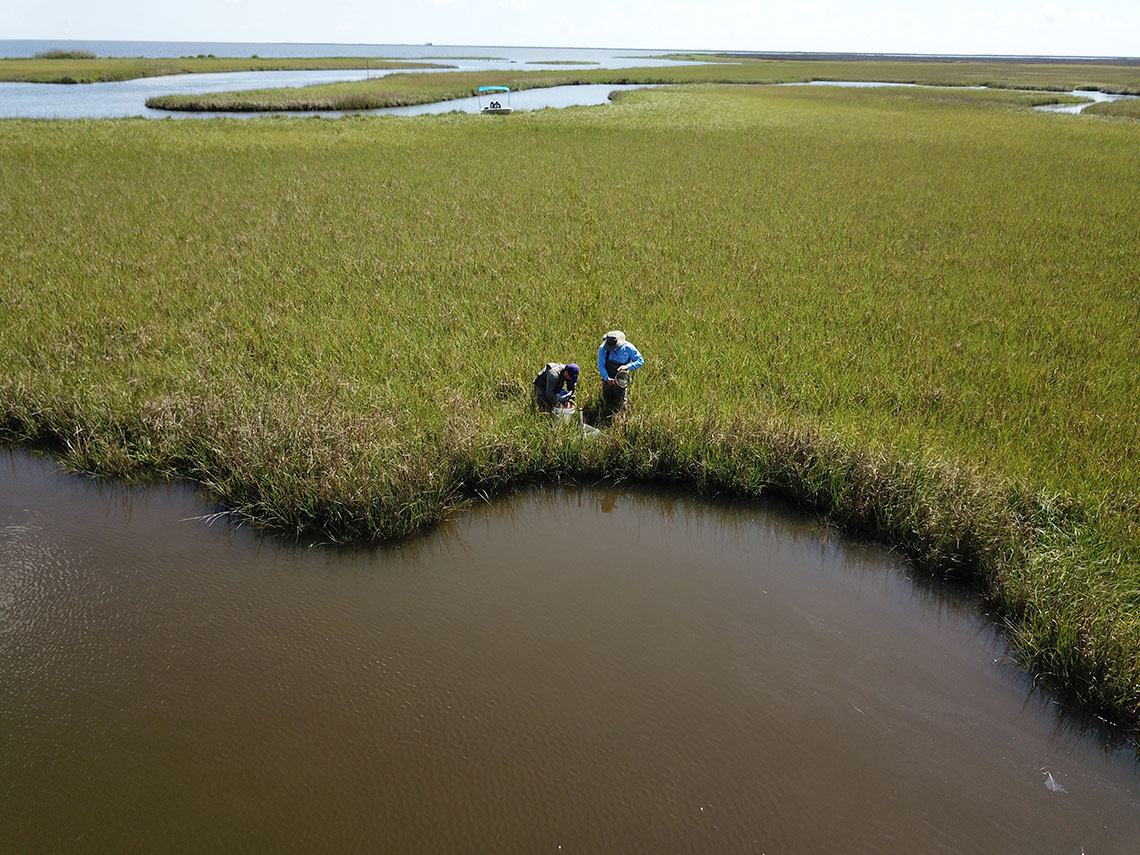 An overhead shot of two people working in a marsh with a boat in the background