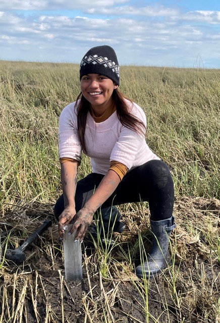 LSU Researcher Mercedes Pinzon gathers a sample in a wetland