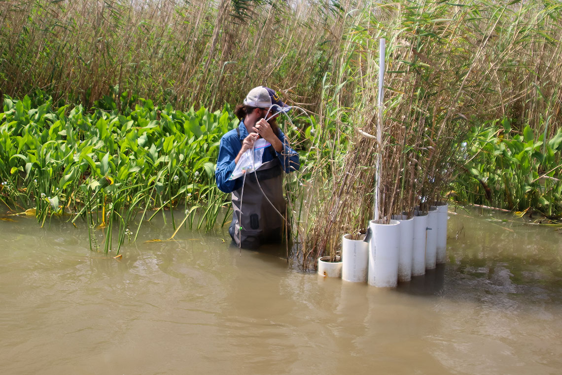 an environmental science student in hip waders examines a research site