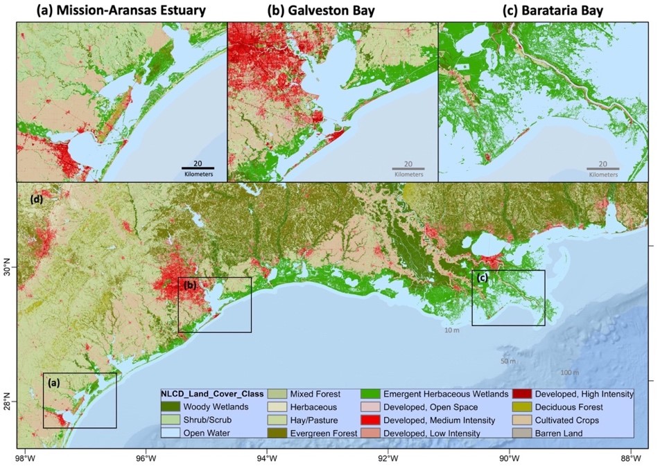 Resistance and Resilience: The Impact of Weather Disturbances on the Louisiana and Texas Coast