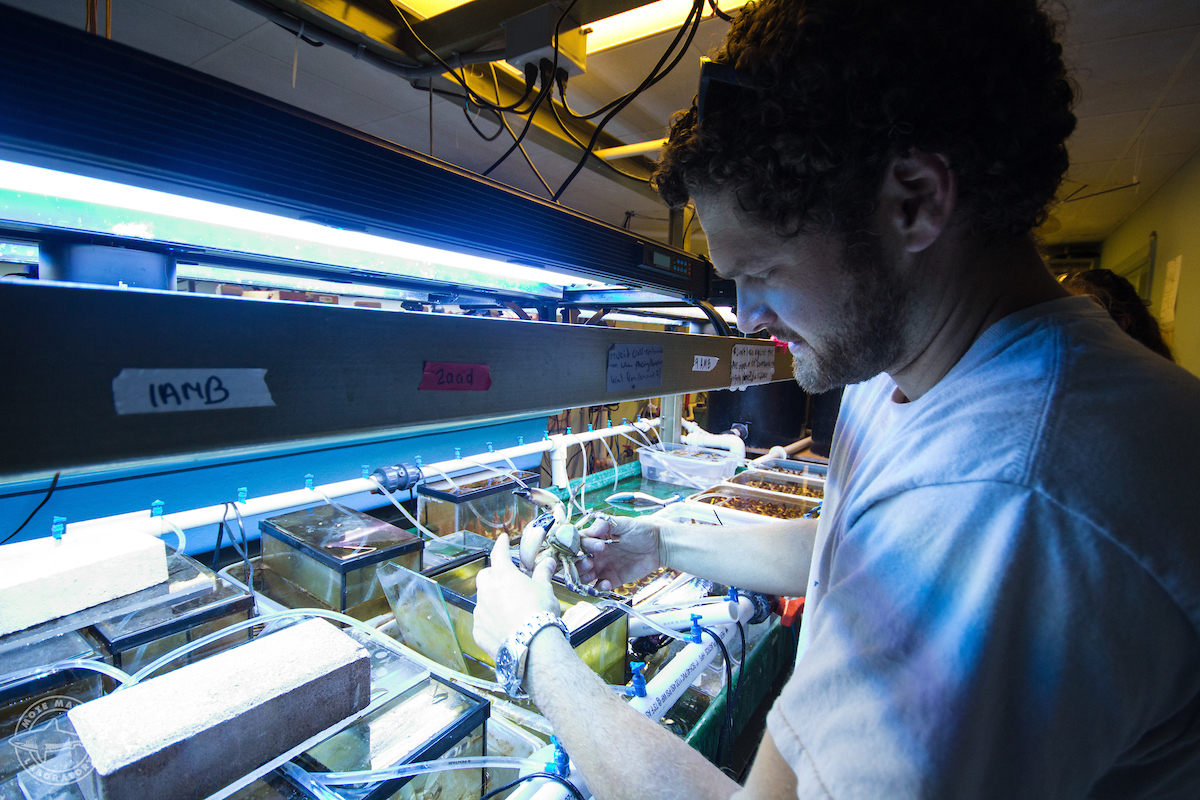 a man in a lab looking down at tanks on a counter