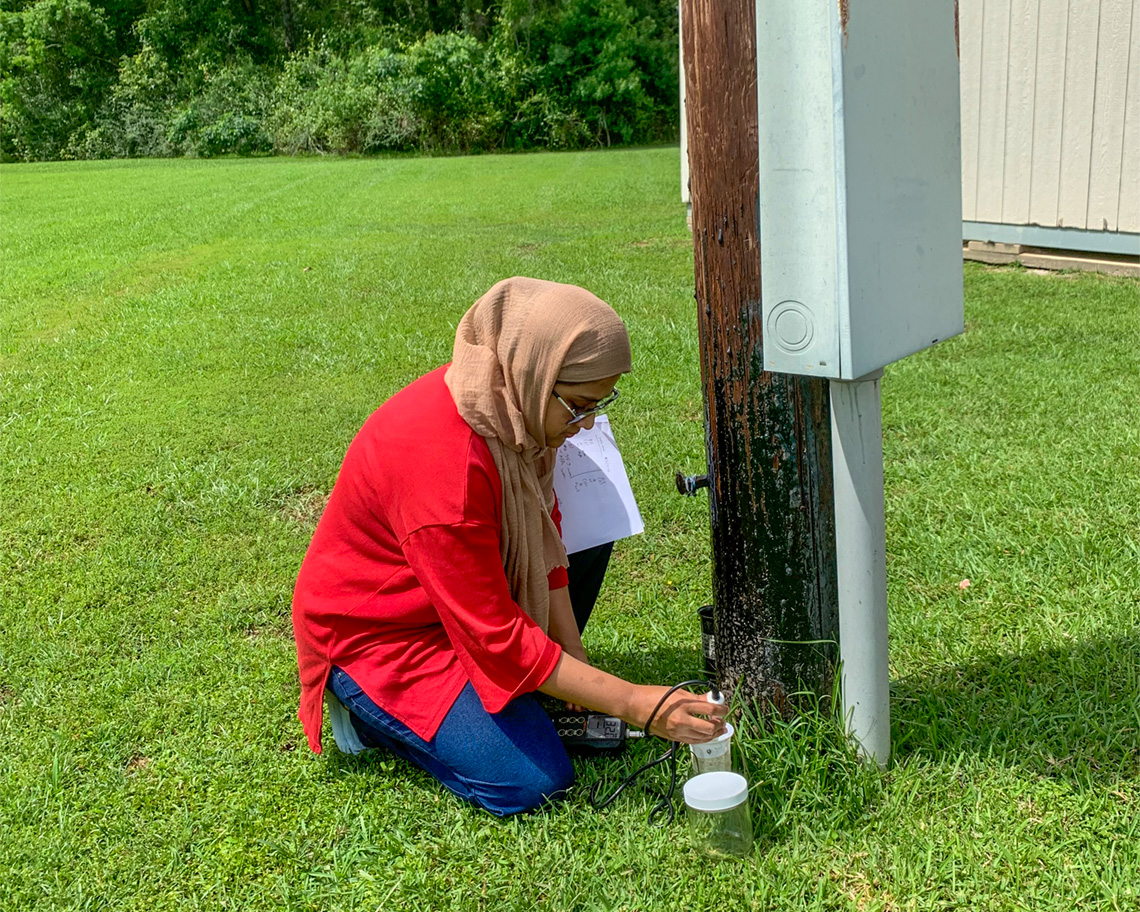mosquito research
