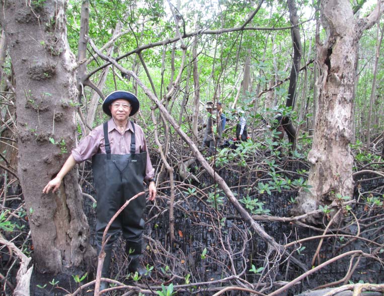 A man wearing hip waders stands in front of a large mangrove tree