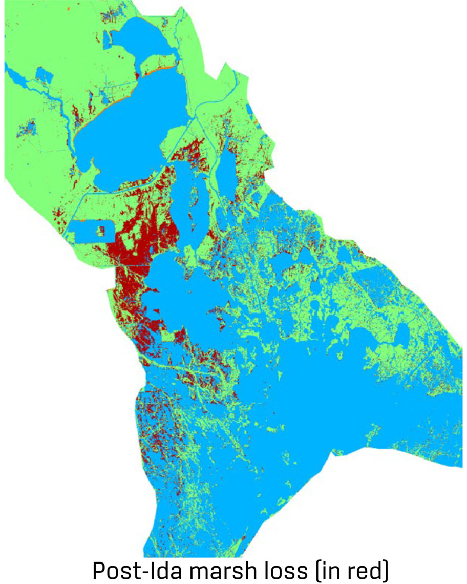 a map show existing marsh in green and marsh loss in red