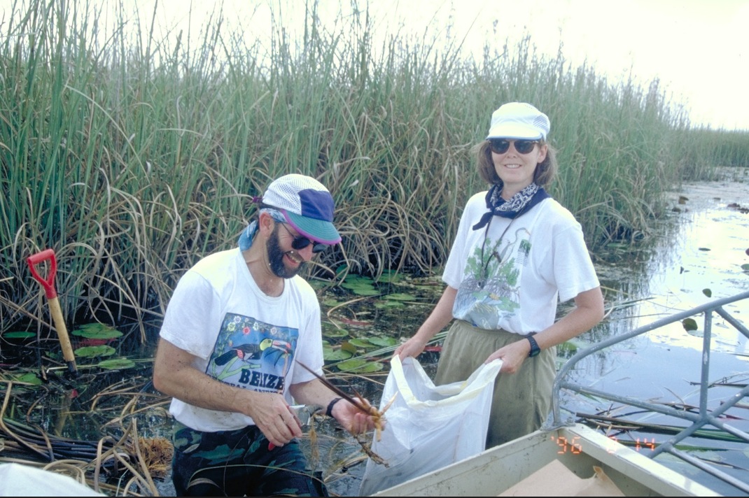 McKee Mendelssohn in the Everglades