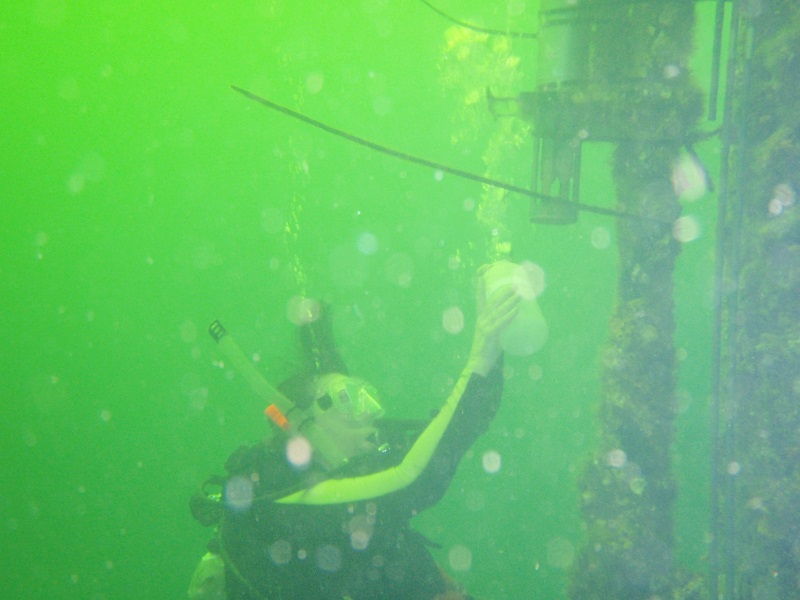 Nancy Rabalais takes water samples in the hypoxic zone.