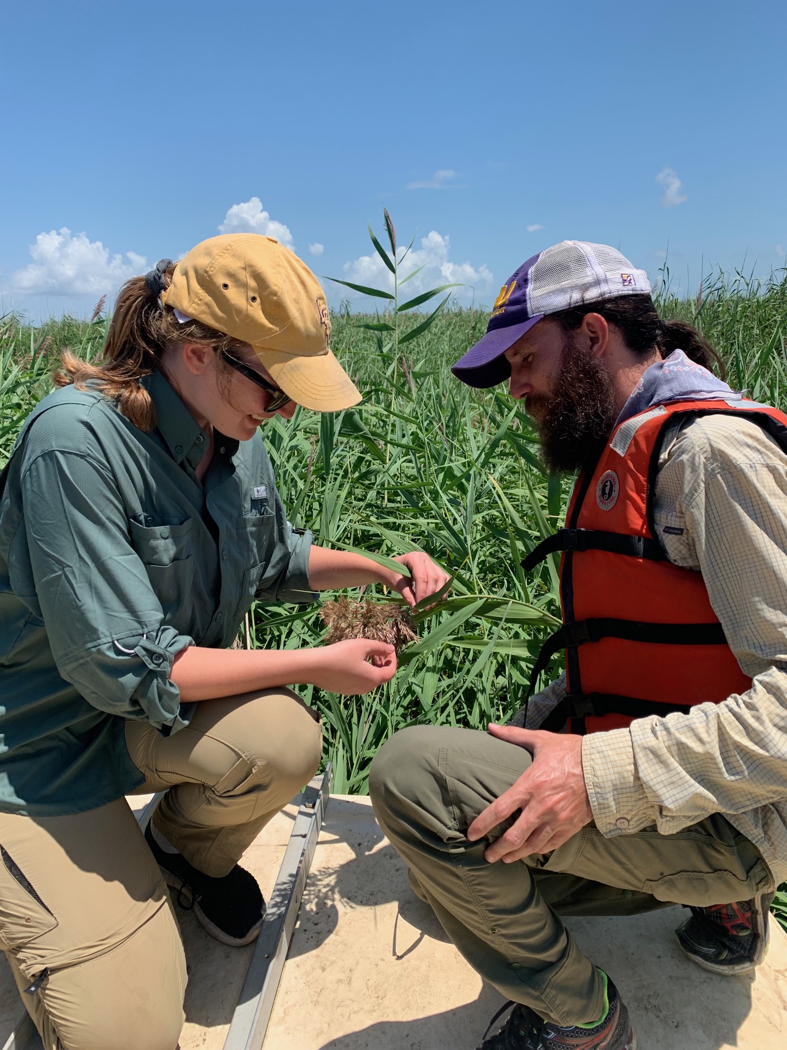 Two people examine Roseau Cane