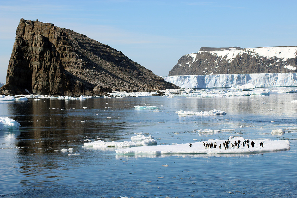Penguins gather on ice by a rock