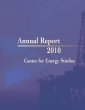 LSU CES Annual Report 2010