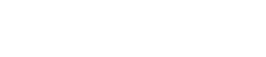 +81%